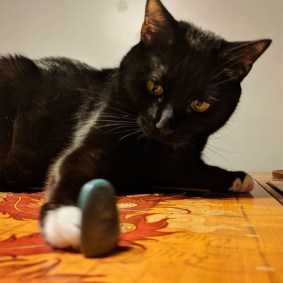 temp_regrann_1527161142798