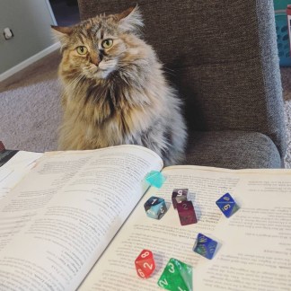 temp_regrann_1527161257474