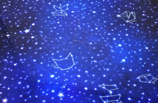 20DF5A58-D246-480F-9134-316D28F81474